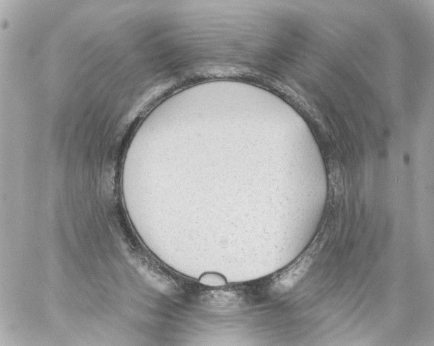 X0000059080159200511041830