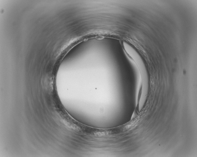 X0000059080160200511041830