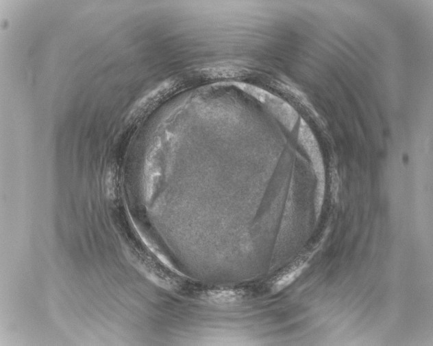 X0000059080161200511041830