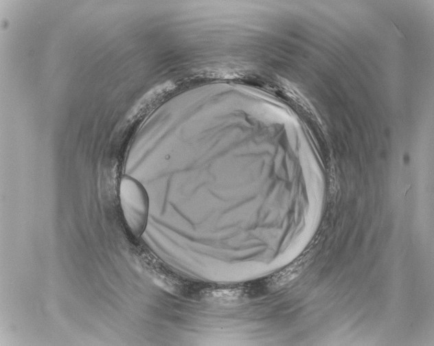 X0000059080163200511041830