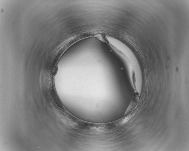 X0000059080164200511041830