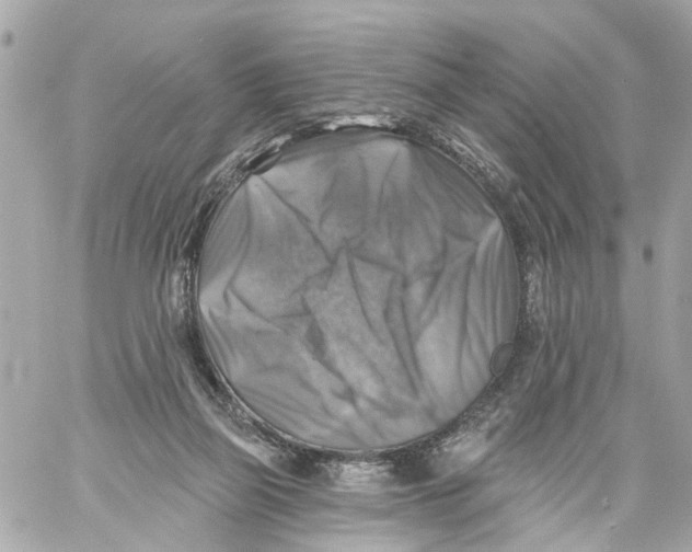 X0000059080165200511041830