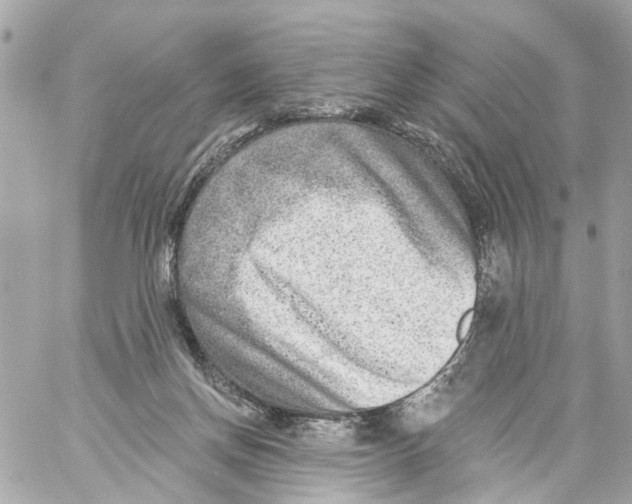 X0000059080166200511041830