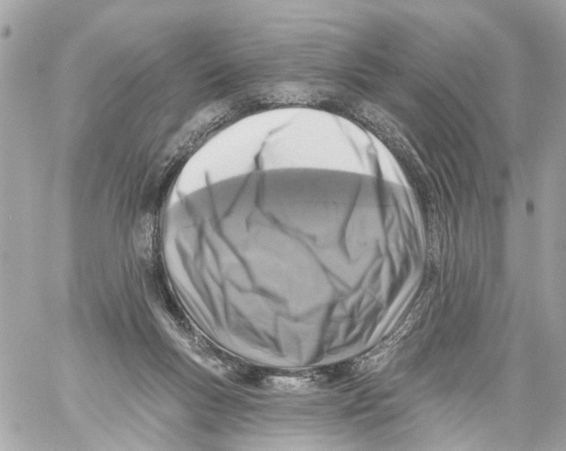 X0000059080167200511041830