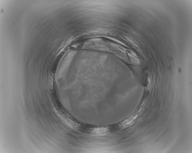 X0000059080168200511041830