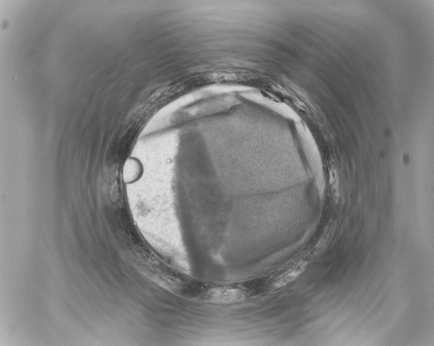 X0000059080169200511041830