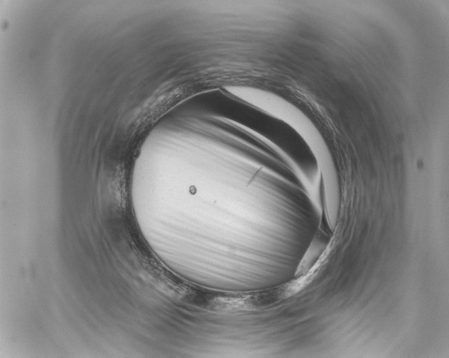 X0000059080170200511041830