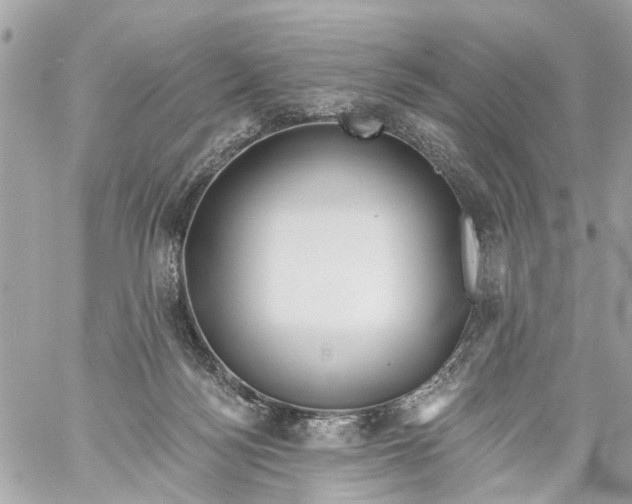 X0000059080172200511041830