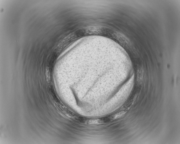 X0000059080173200511041830