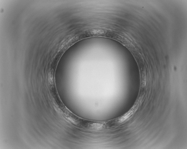 X0000059080176200511041831