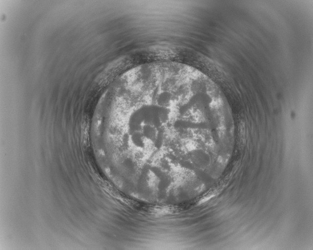 X0000059080177200511041831