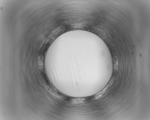 X0000059080179200511041831