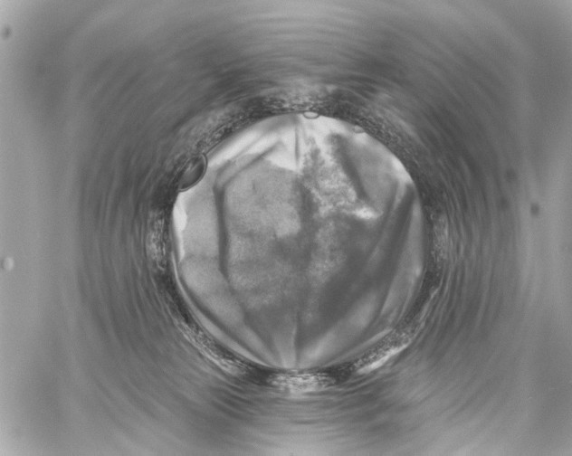 X0000059080181200511041831