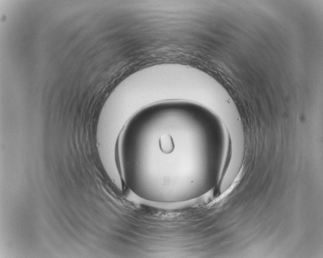 X0000059080186200511041831