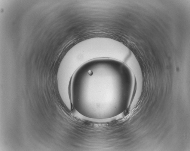 X0000059080188200511041831