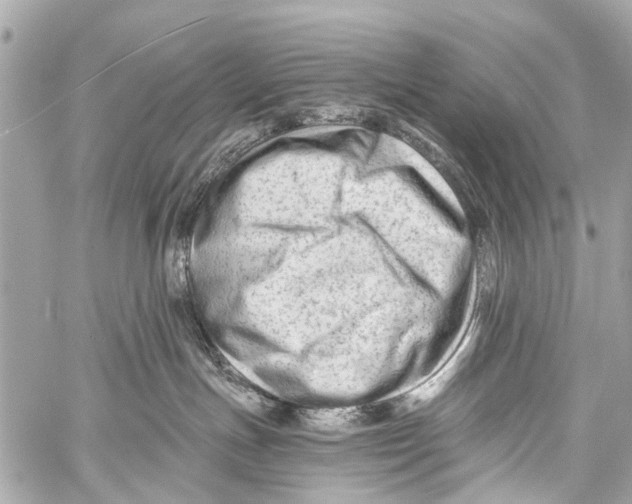 X0000059080191200511041831