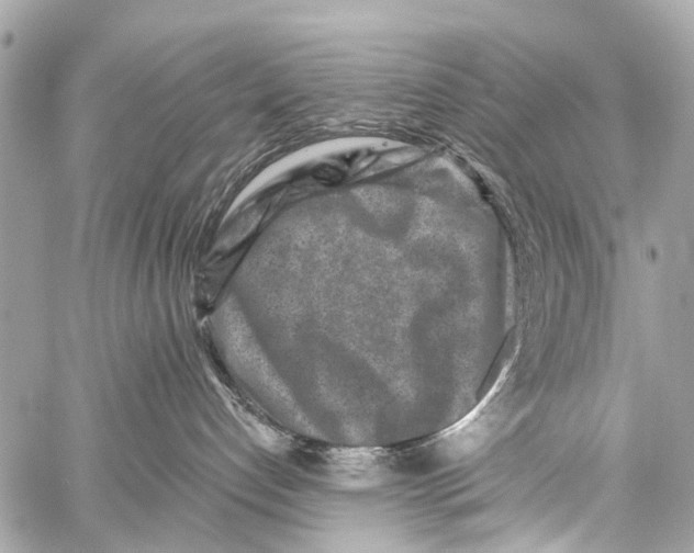 X0000059080192200511041831