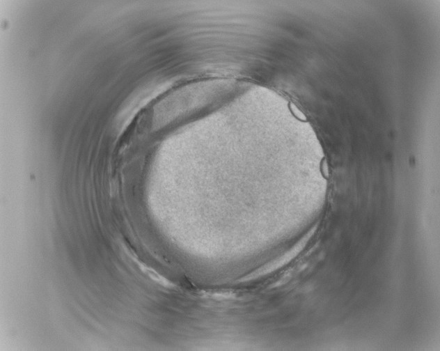 X0000059080194200511041830