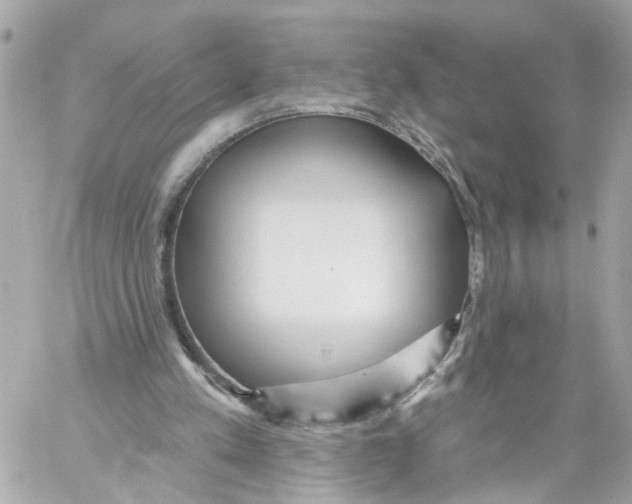 X0000059080197200511041830