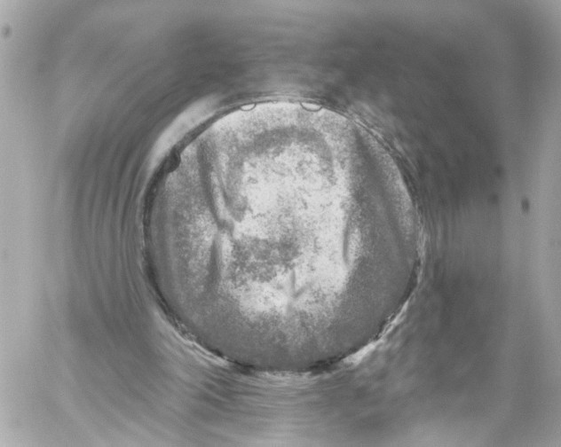 X0000059080198200511041830