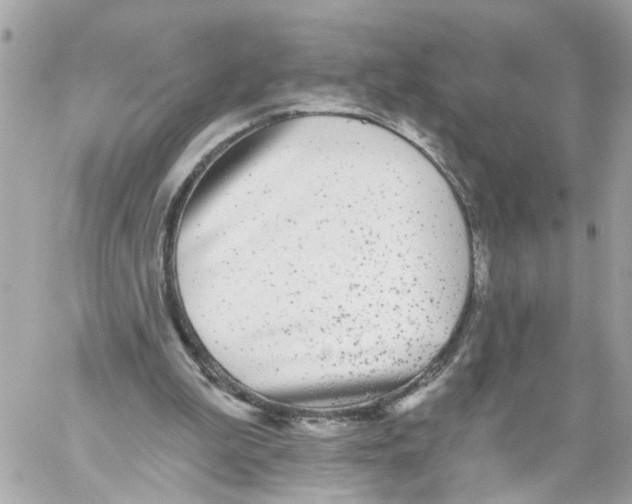 X0000059080199200511041830