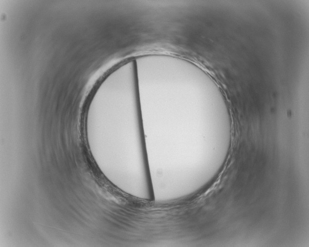 X0000059080200200511041830