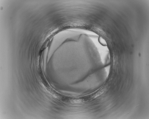 X0000059080202200511041830