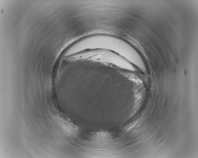 X0000059080204200511041830