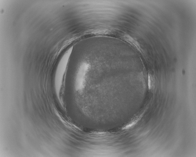 X0000059080205200511041830