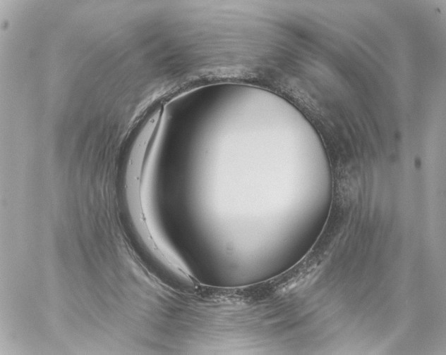 X0000059080207200511041830