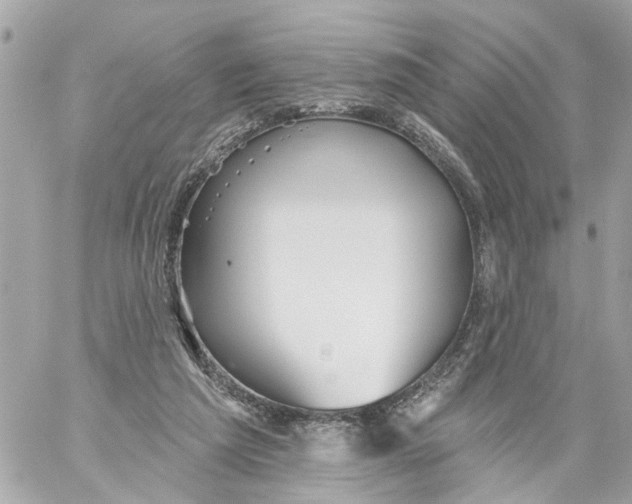 X0000059080209200511041830