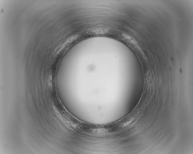 X0000059080212200511041830