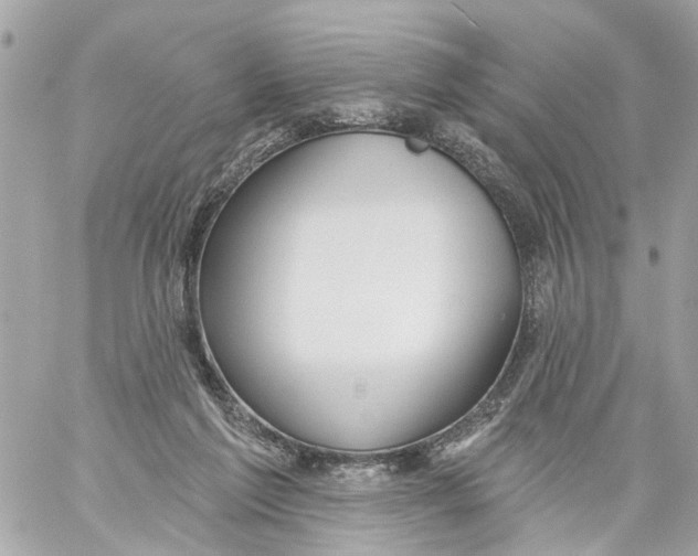 X0000059080213200511041830