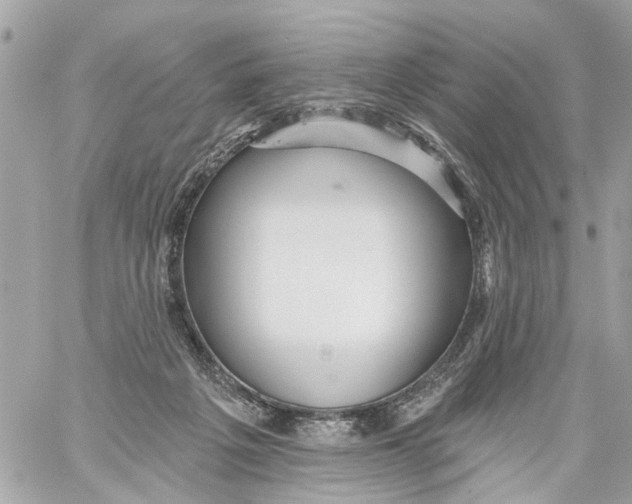 X0000059080217200511041830