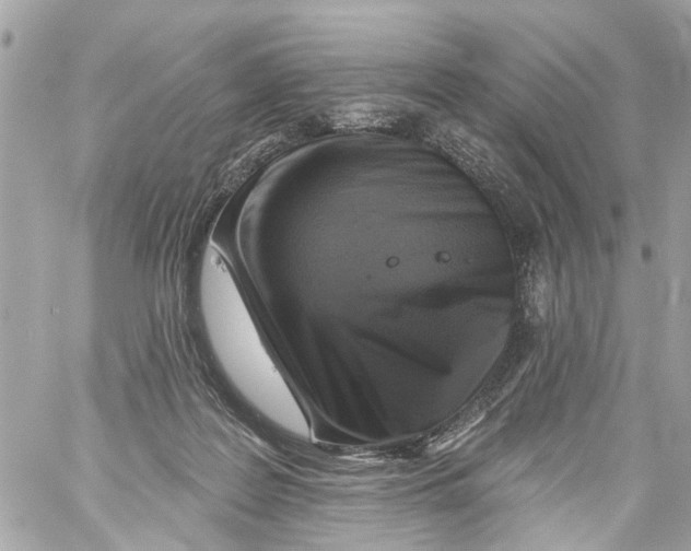 X0000059080219200511041830