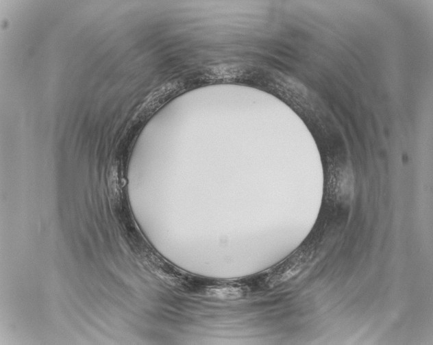 X0000059080220200511041830