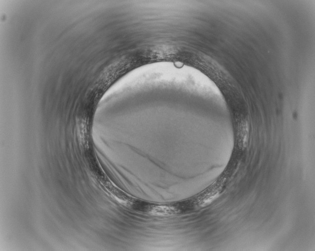 X0000059080222200511041830