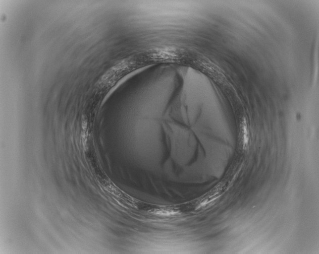 X0000059080223200511041829