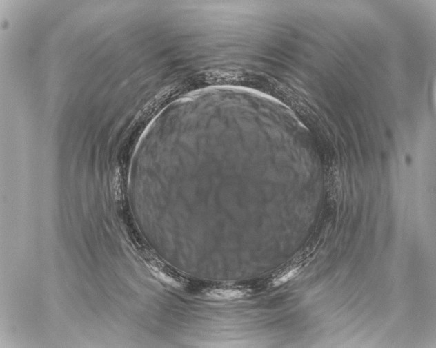 X0000059080224200511041829