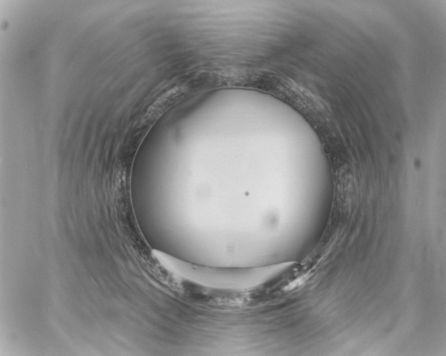 X0000059080225200511041829