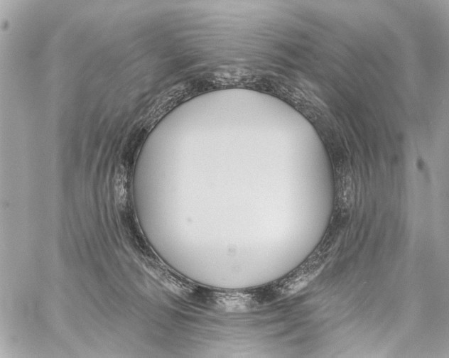 X0000059080226200511041829