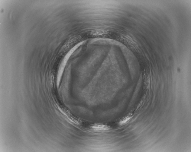 X0000059080227200511041829