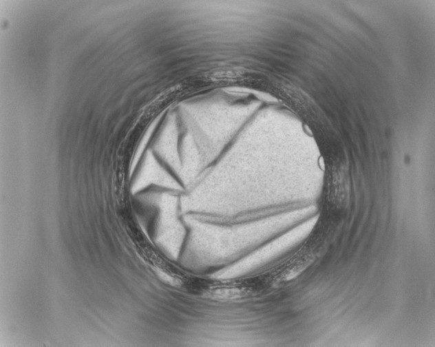 X0000059080228200511041829