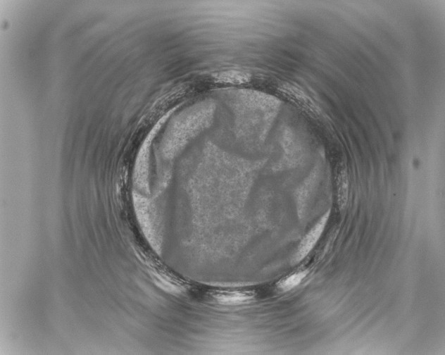 X0000059080229200511041829