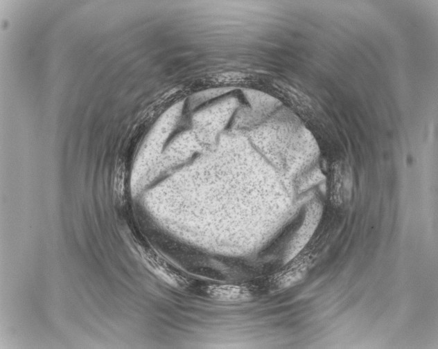 X0000059080230200511041829