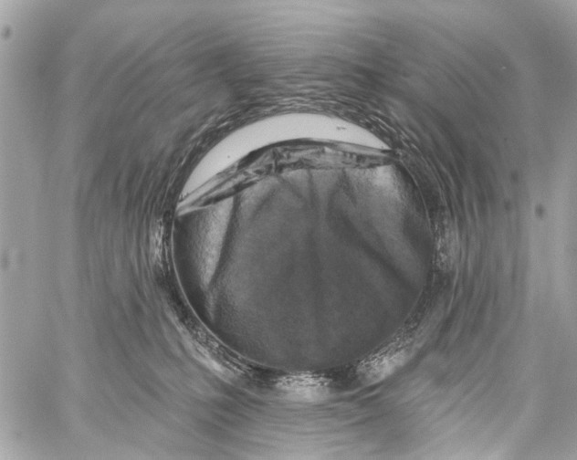 X0000059080231200511041829