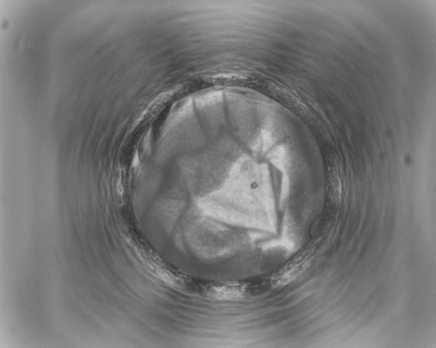 X0000059080232200511041829