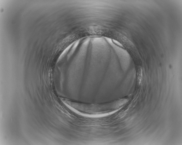 X0000059080233200511041829