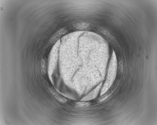 X0000059080234200511041829