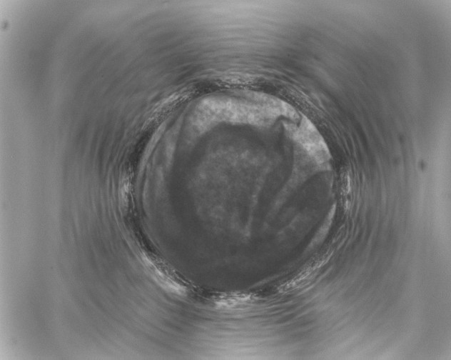 X0000059080235200511041829